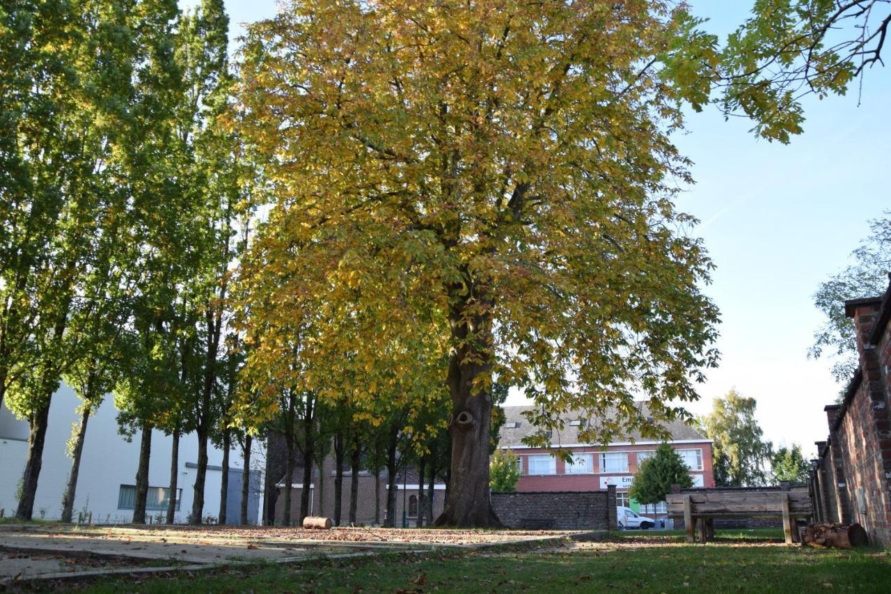 Cacele Raveelzicht Zulte Exterior foto
